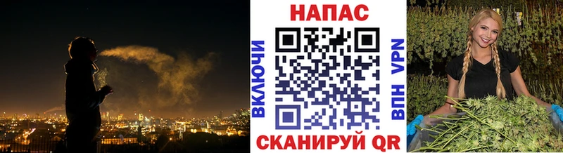 Купить  Октябрьск  Бошки Шишки MAZAR 